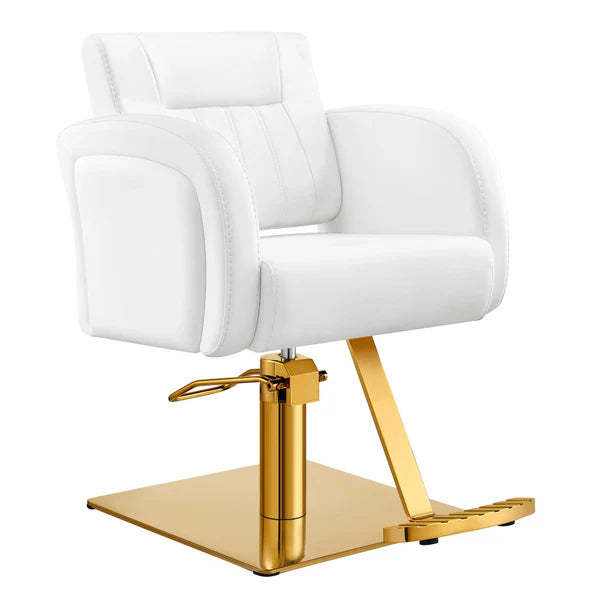 Anodic Salon Styling Chairs