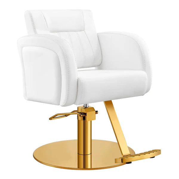 Anodic Salon Styling Chairs