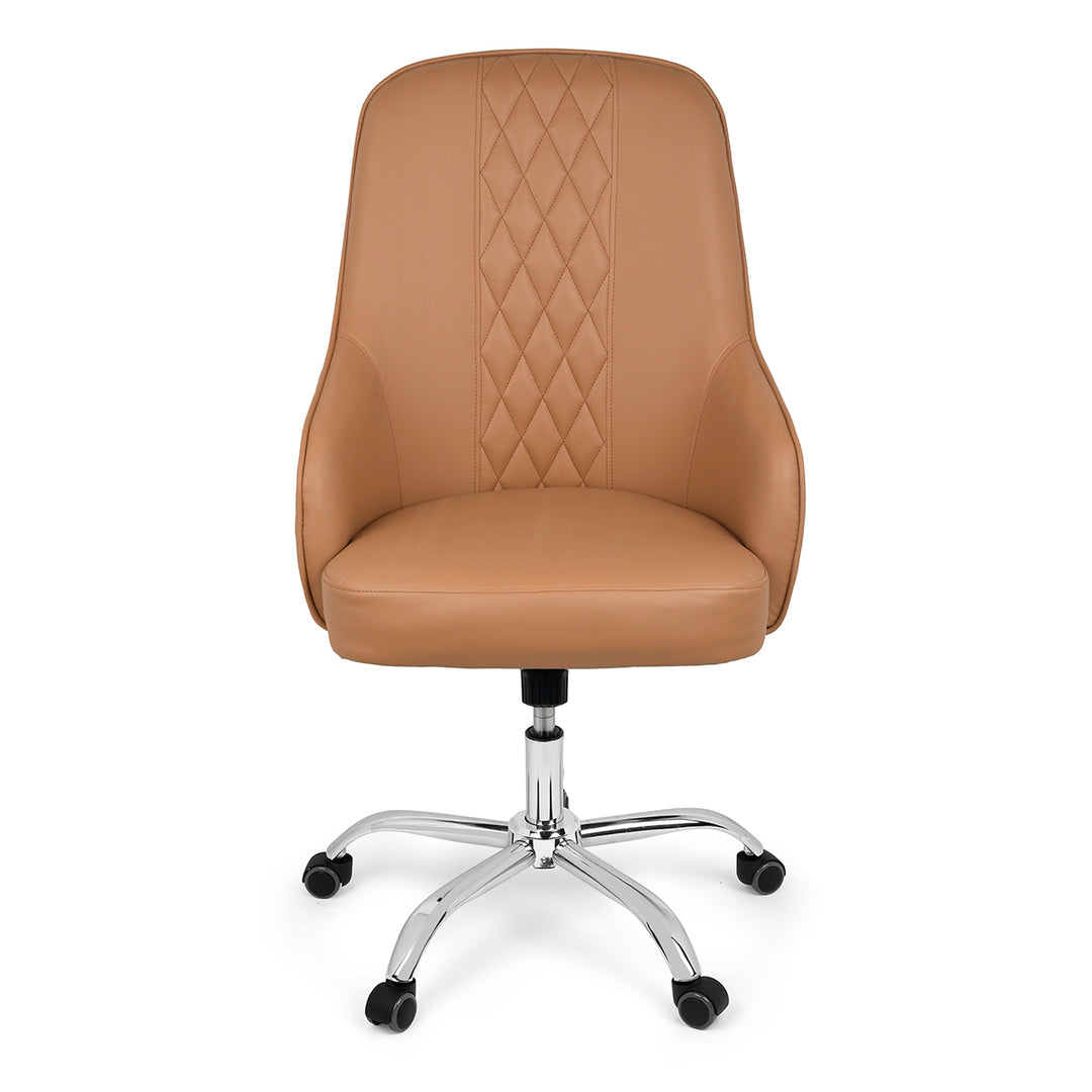 YL Salon Customer Chair