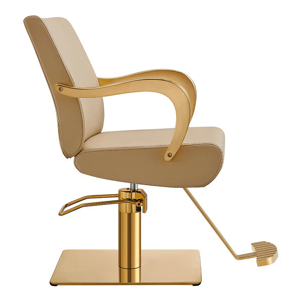 Meteor Gold Salon Styling Chair