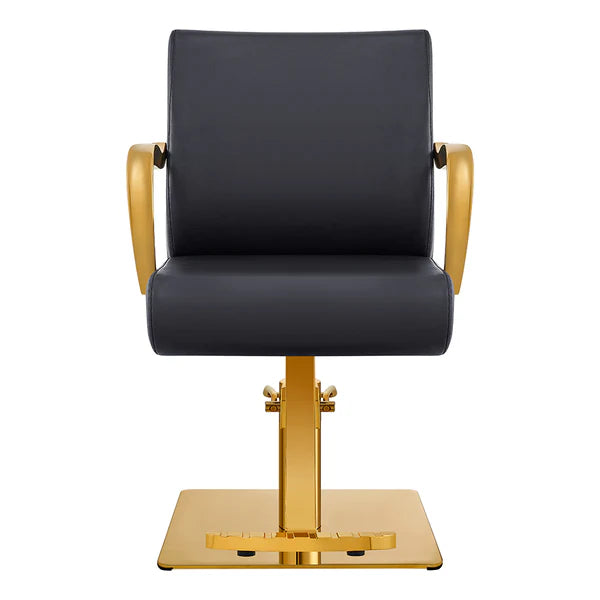 Meteor Gold Salon Styling Chair