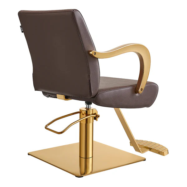 Meteor Gold Salon Styling Chair