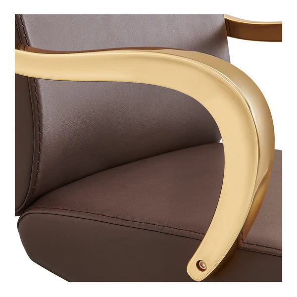 Meteor Gold Salon Styling Chair