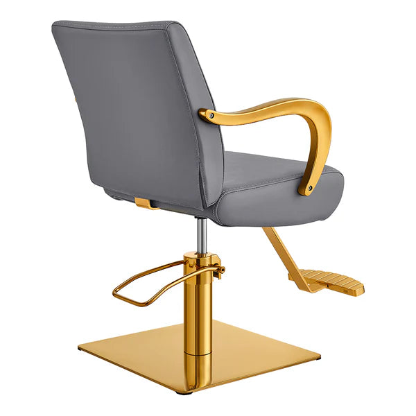 Meteor Gold Salon Styling Chair