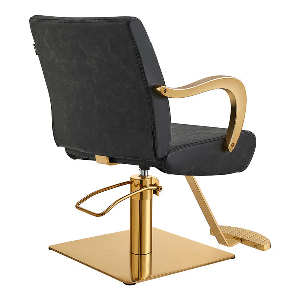 Meteor Gold Salon Styling Chair