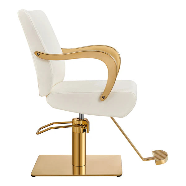 Meteor Gold Salon Styling Chair