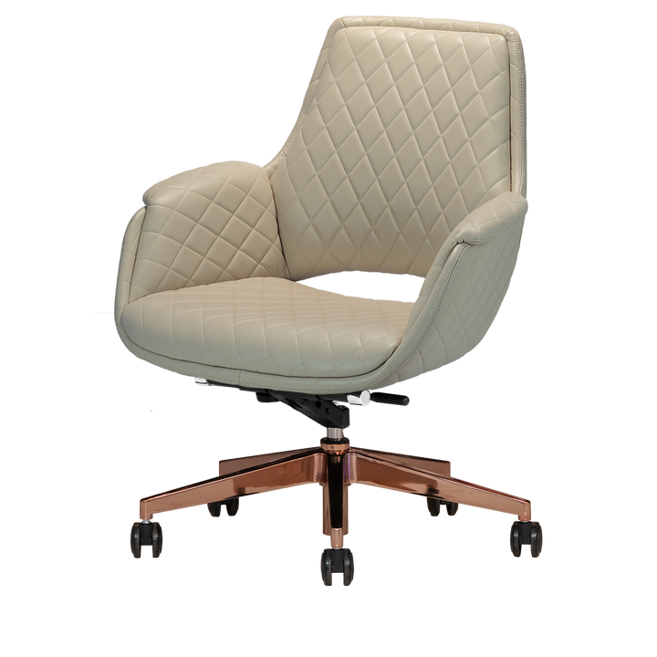 Jewel Gold Edition Salon Customer Chair