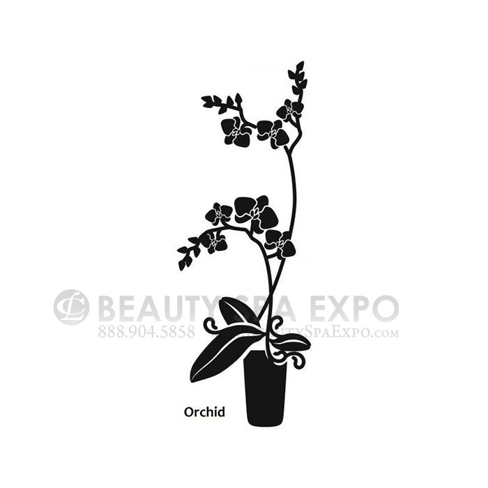 Vinyl Salon Decal - Orchid